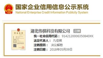 智萊科技前員工低價突擊入股疑云 供應商關聯與技術轉讓風險