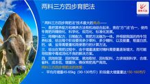 澤牧久遠亮相2019武漢畜博會 以技術轉讓引領草食動物營養新風潮